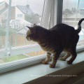 Pantalla de la ventana a prueba de gatos